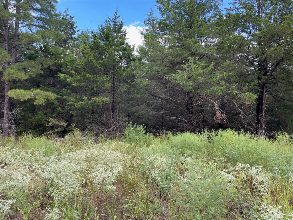 Lot 17 TBD Cedarpark Place Property Photo 1