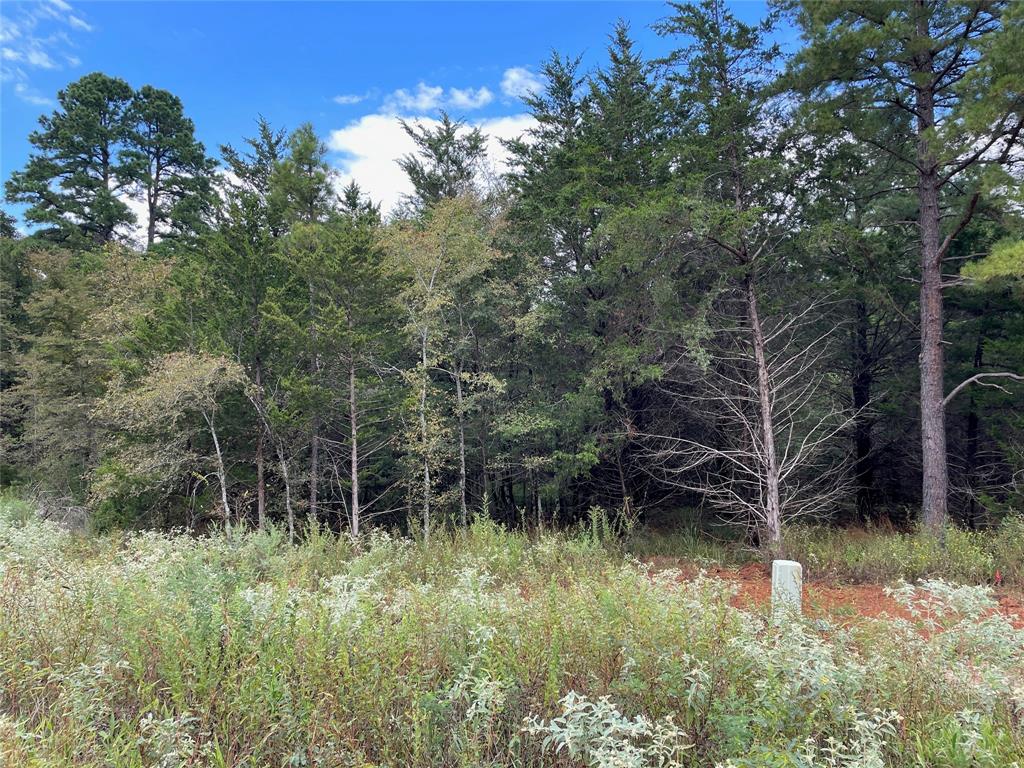Lot 18 TBD Cedarpark Place Property Photo 1