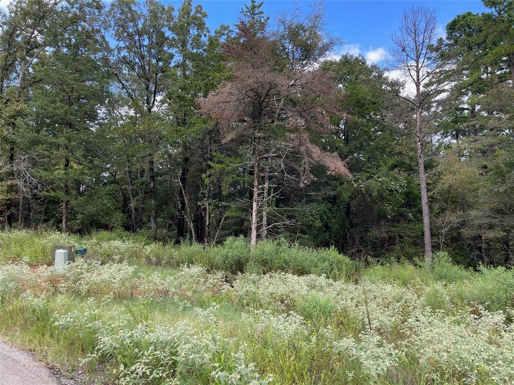 Lot 19 Tbd Cedarpark Place Property Photo 1