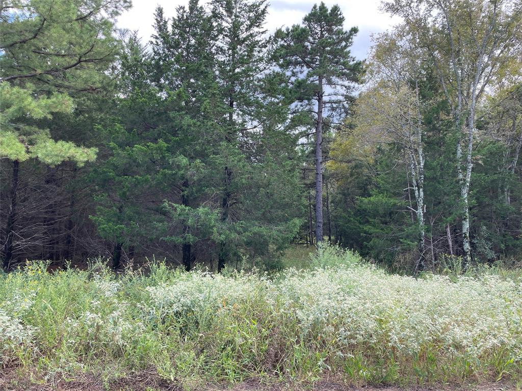 Lot 25 TBD Cedarpark Place Property Photo 1