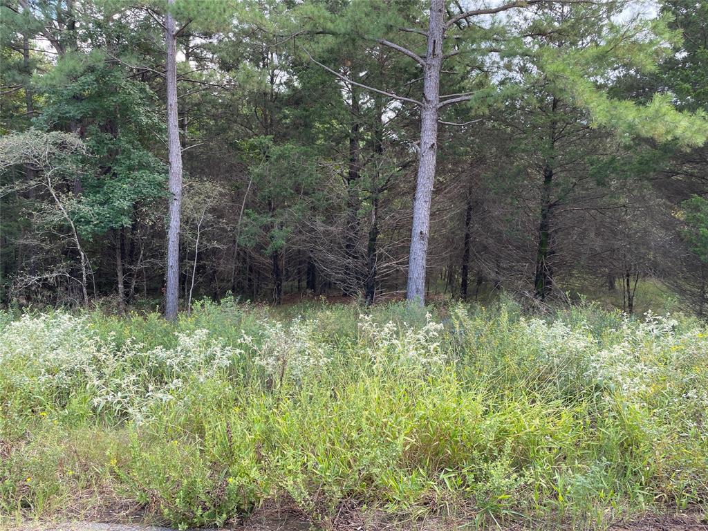 Lot 26 TBD Cedarpark Place Property Photo 1