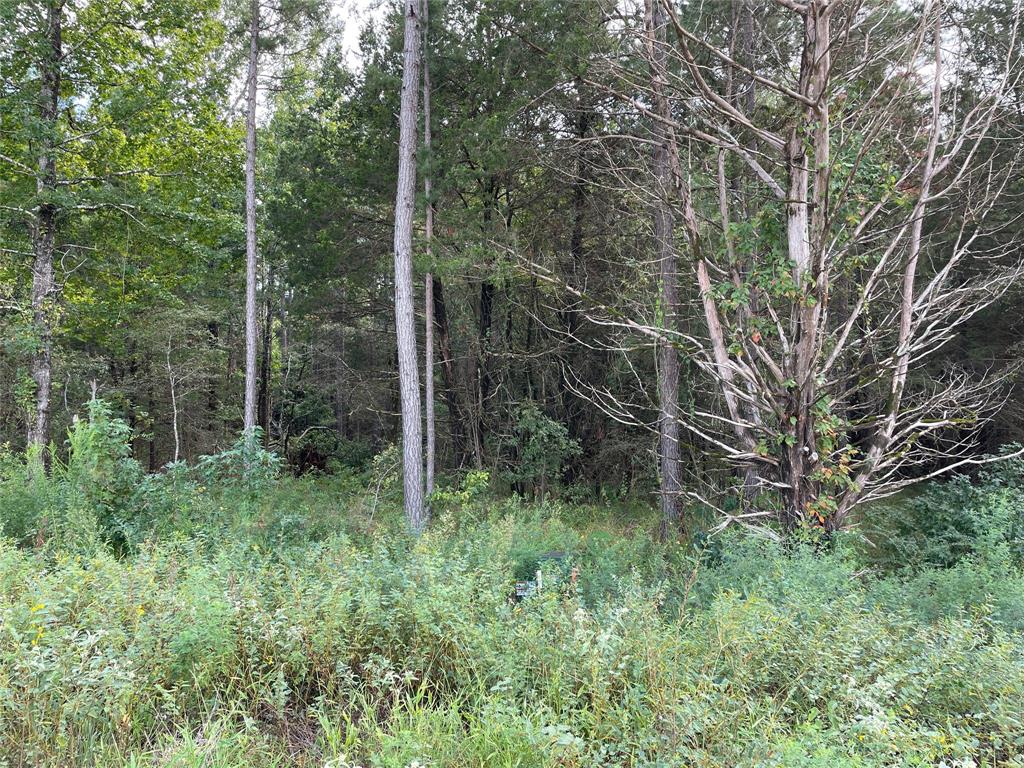 Lot 27 TBD Cedarpark Place Property Photo 1