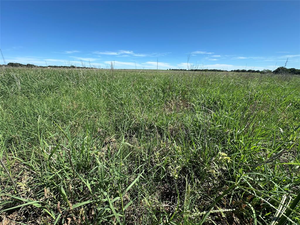 Tbd County Road 152 Property Photo 5