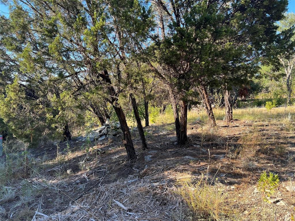 3120 Ohio River Trail Property Photo 6