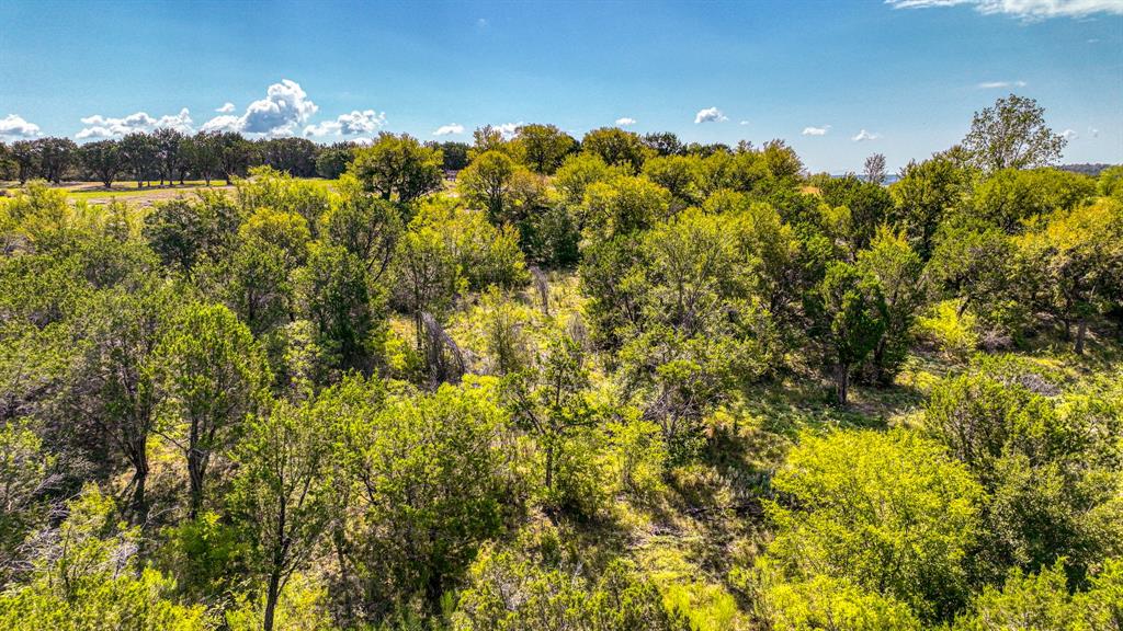 Tbd Blazing Star Court Property Photo 7