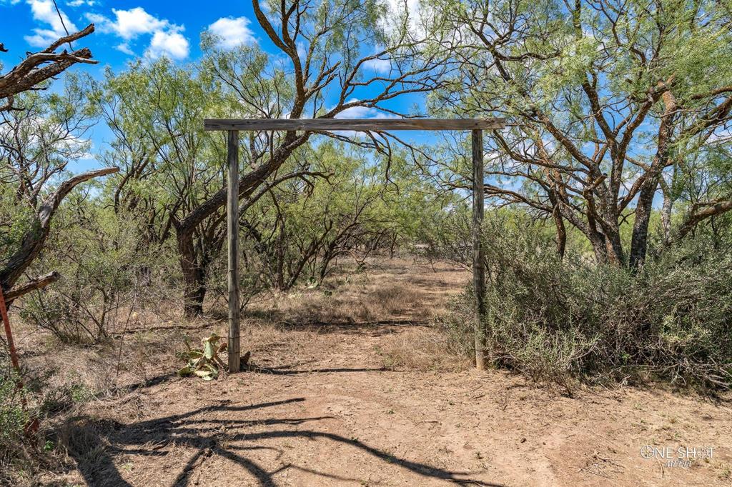 1645 Iberis Road Property Photo 14