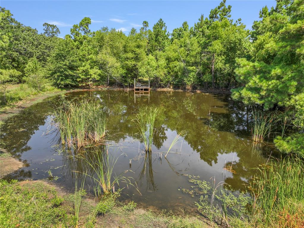13933 Marilyn Lane Property Photo 13