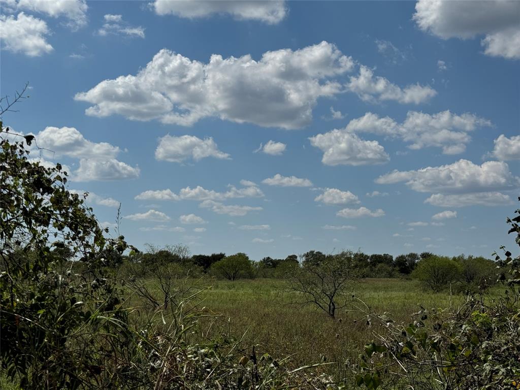 Tbd2 County Road 1240 Property Photo 2