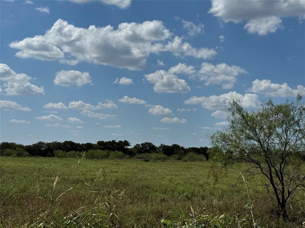 Tbd2 County Road 1240 Property Photo 3