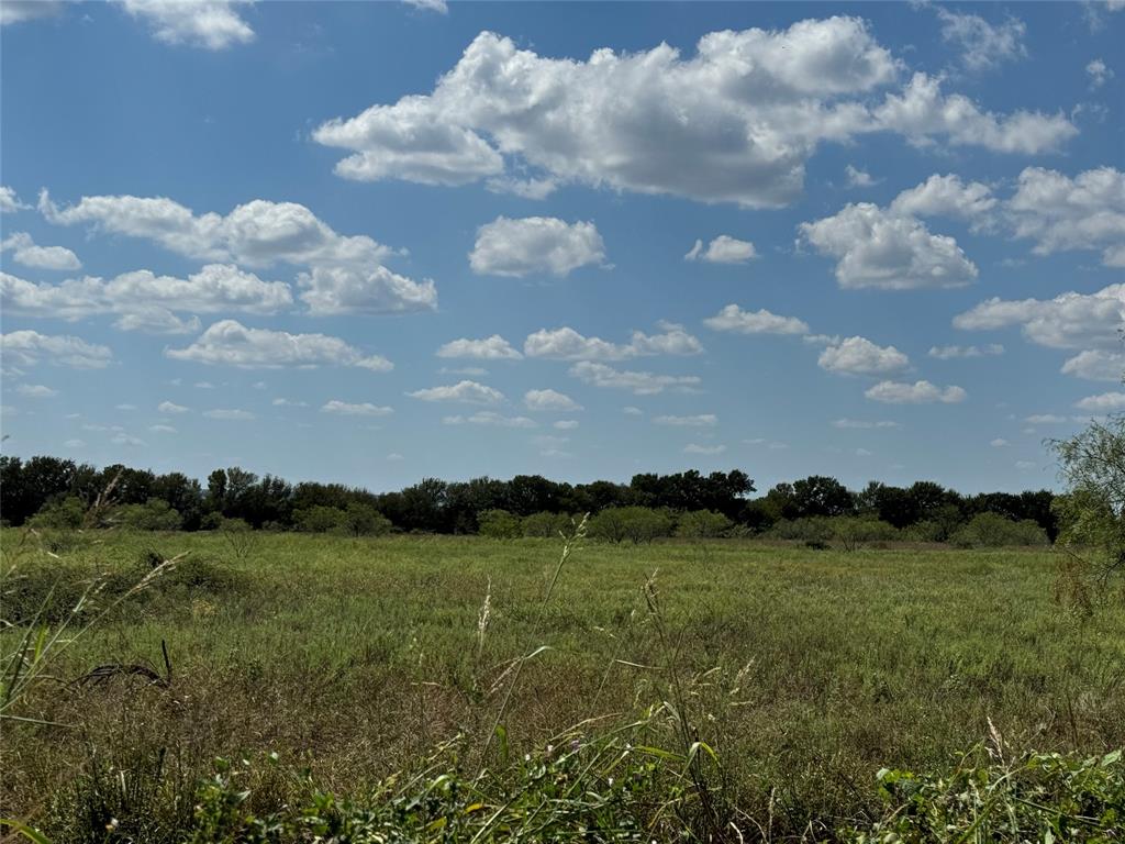 Tbd2 County Road 1240 Property Photo 4