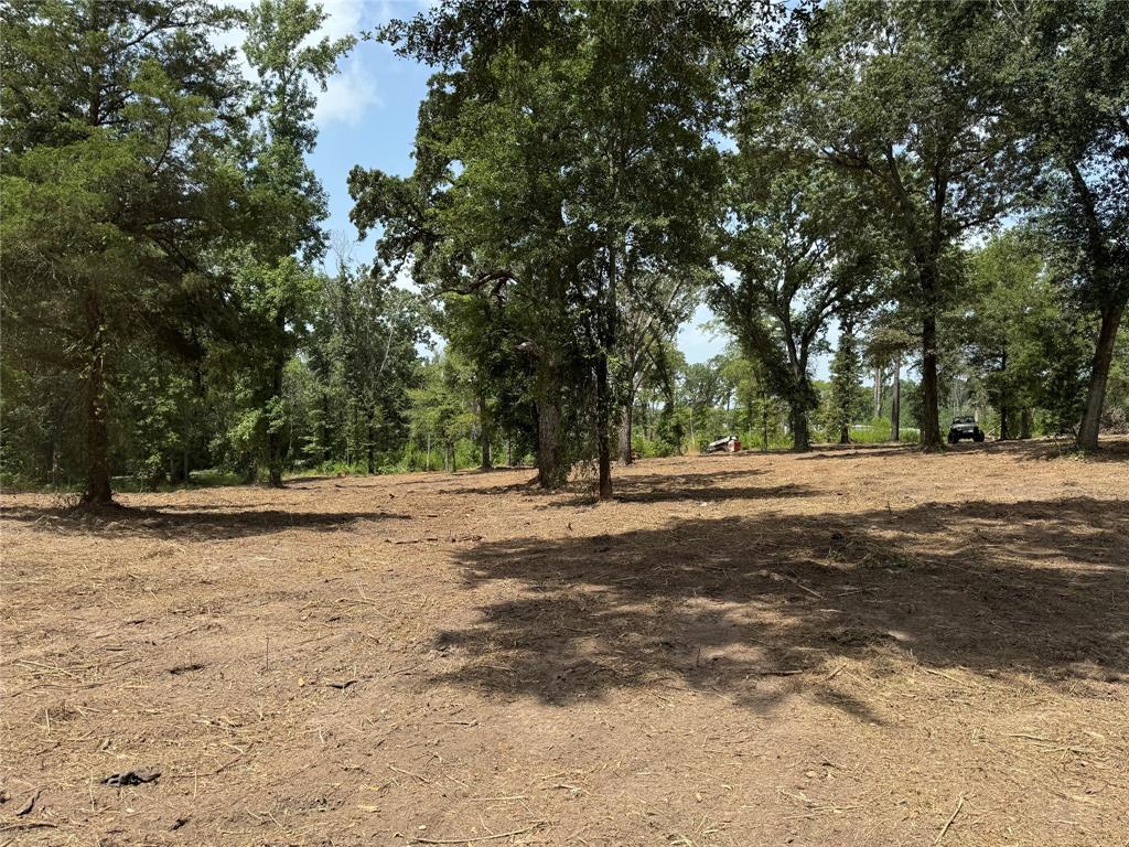 16393 State Highway 31 Property Photo 14