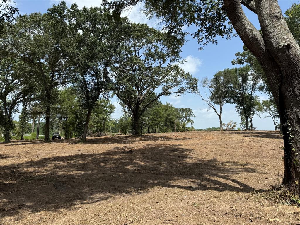 16393 State Highway 31 Property Photo 15