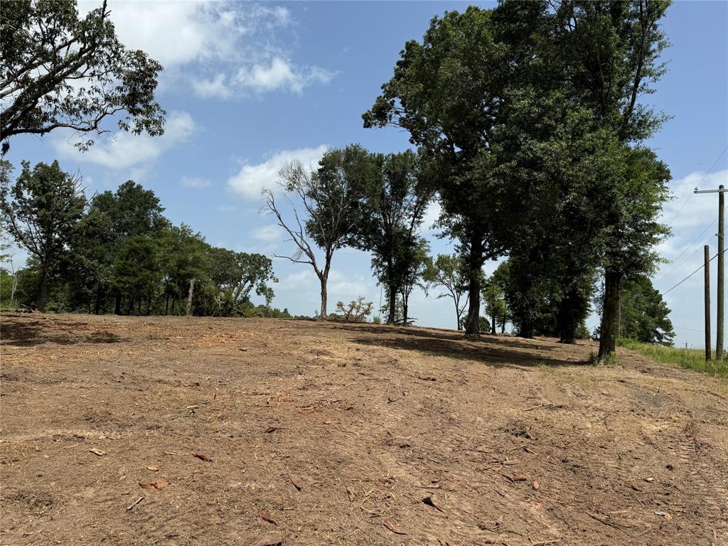 16393 State Highway 31 Property Photo 16