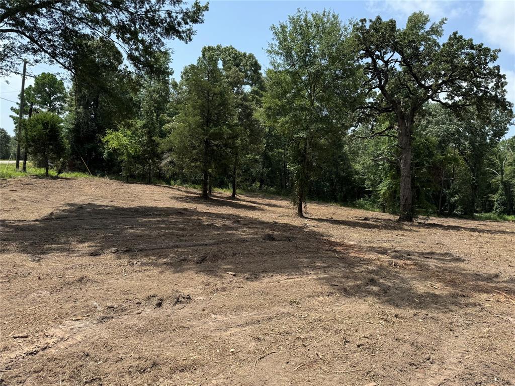 16393 State Highway 31 Property Photo 19