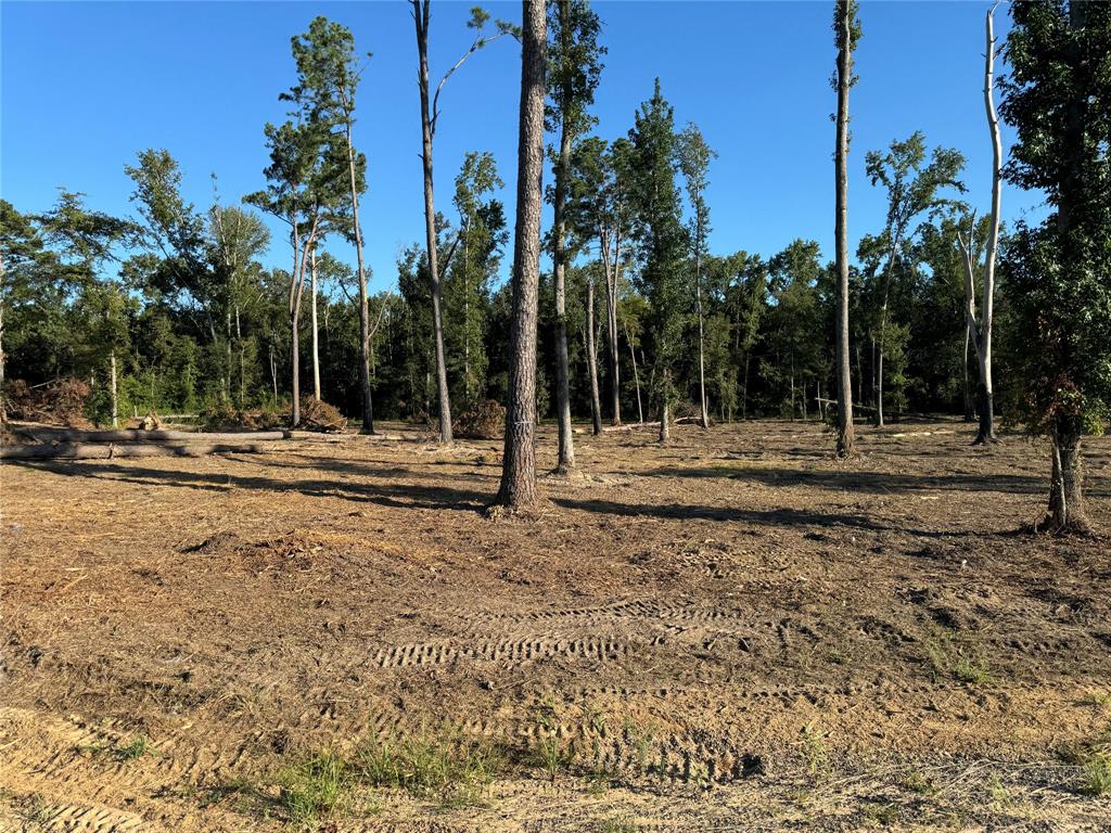 16393 State Highway 31 Property Photo 22