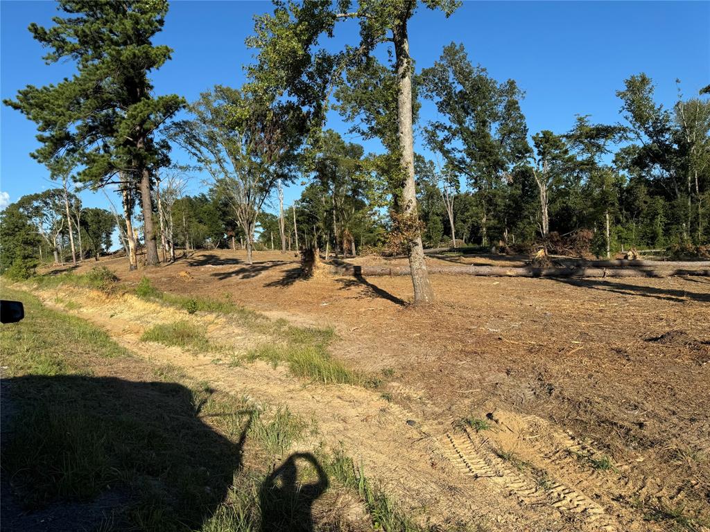 16393 State Highway 31 Property Photo 23