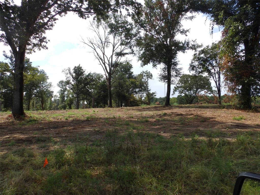 16393 State Highway 31 Property Photo 27
