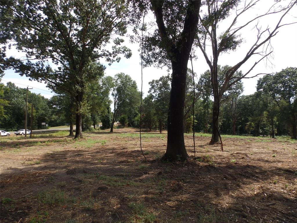 16393 State Highway 31 Property Photo 28
