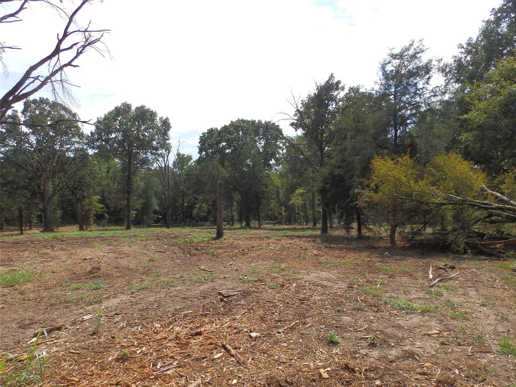 16393 State Highway 31 Property Photo 30