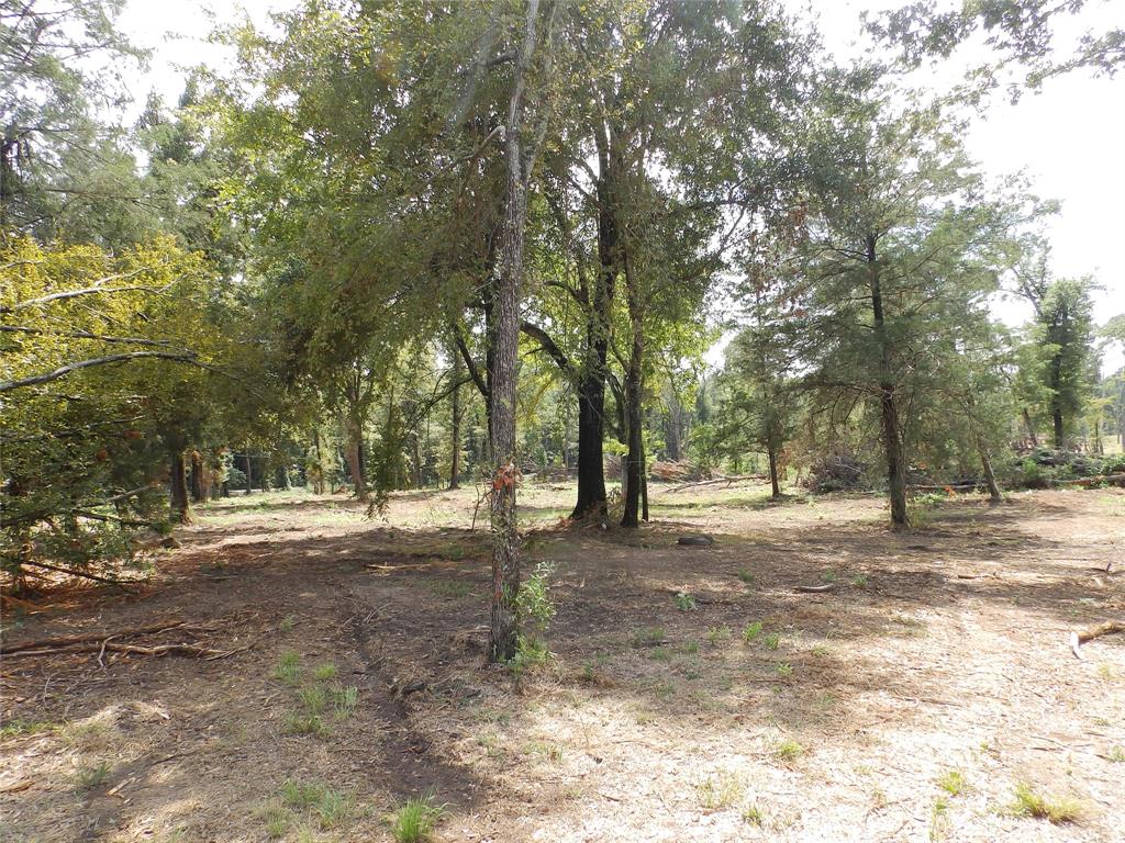 16393 State Highway 31 Property Photo 32