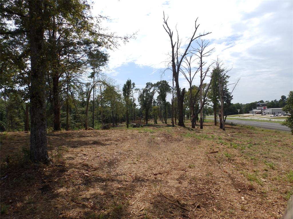 16393 State Highway 31 Property Photo 34