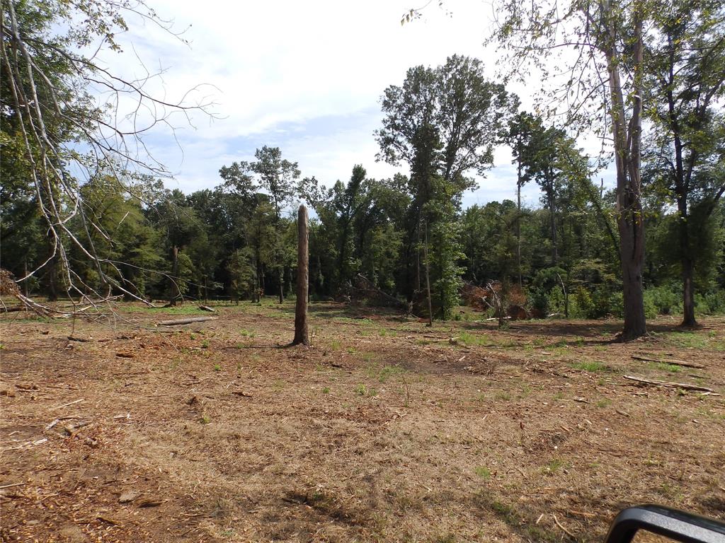 16393 State Highway 31 Property Photo 36