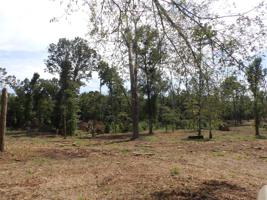 16393 State Highway 31 Property Photo 37