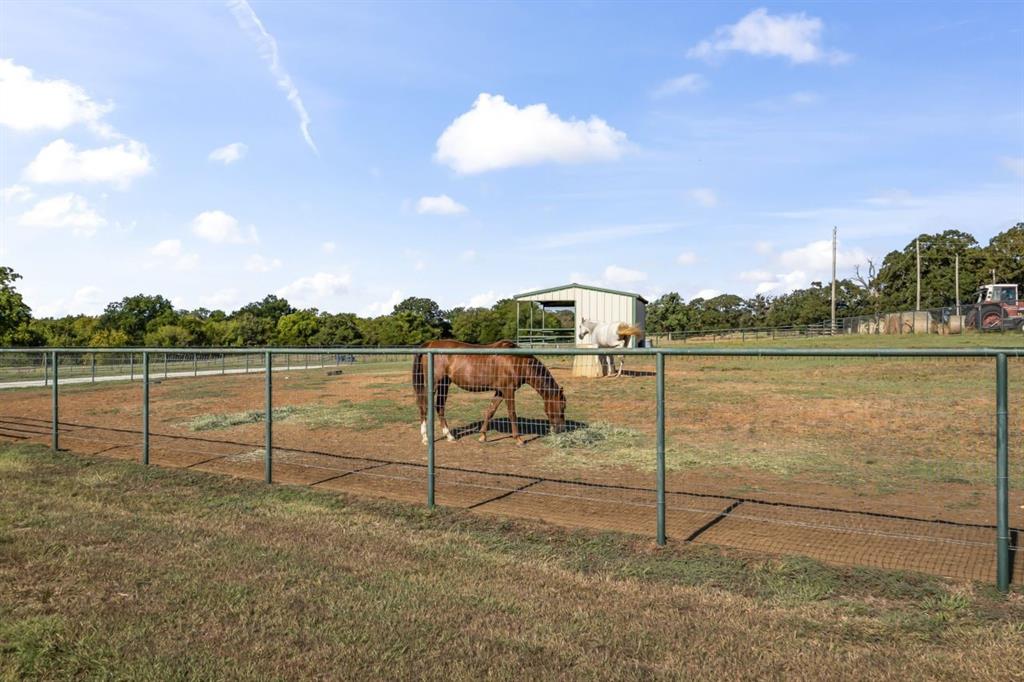 1460 Roland Road Property Photo 7