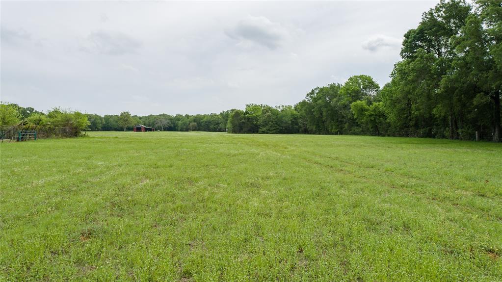 13465 Fm 346 W Property Photo 5
