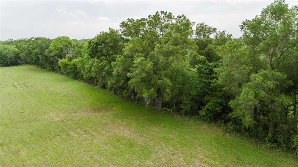 13465 Fm 346 W Property Photo 6