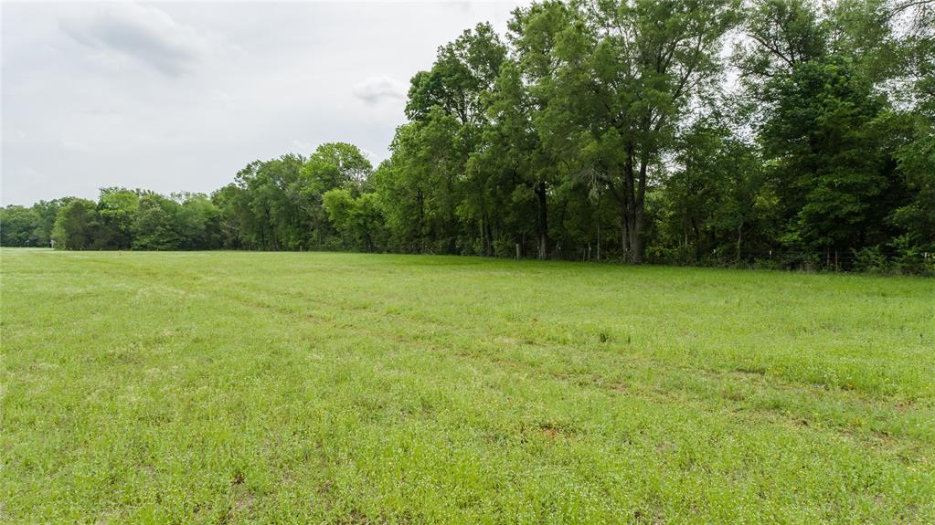 13465 Fm 346 W Property Photo 7