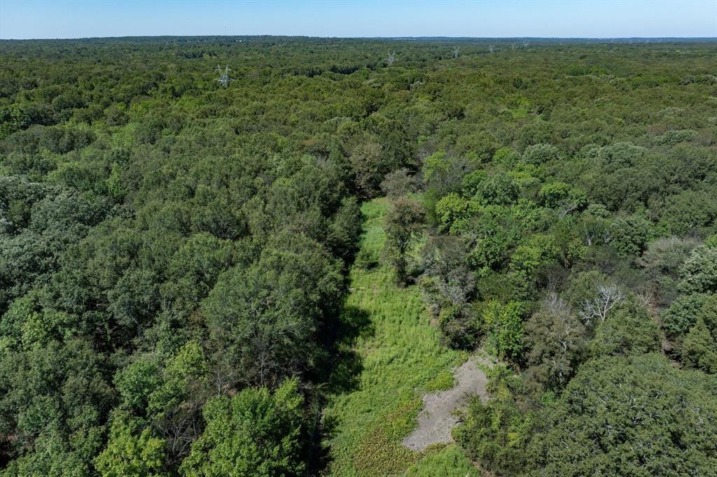 Tract A Hwy 69 Property Photo 9