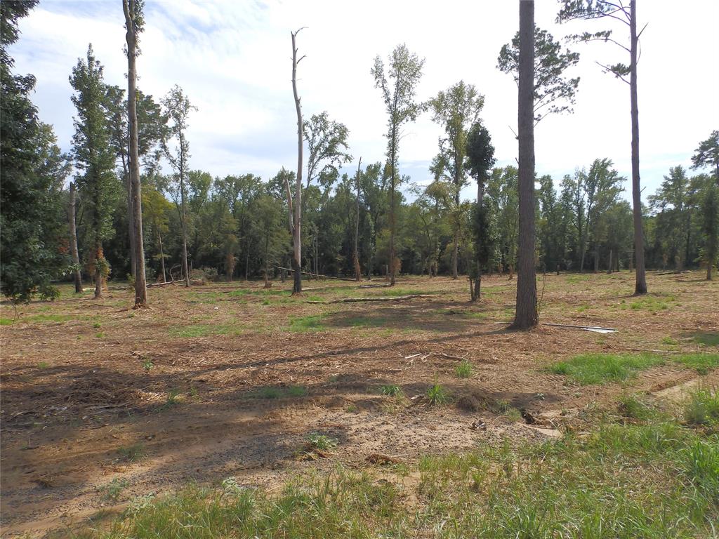 16393 W State Highway 31 Property Photo 6