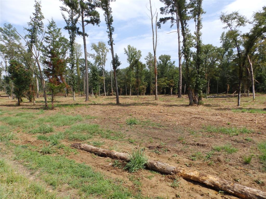 16393 W State Highway 31 Property Photo 7