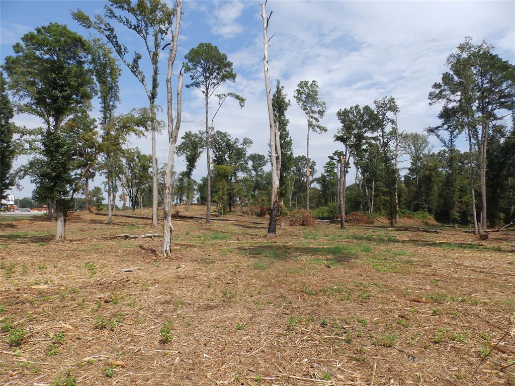 16393 W State Highway 31 Property Photo 8