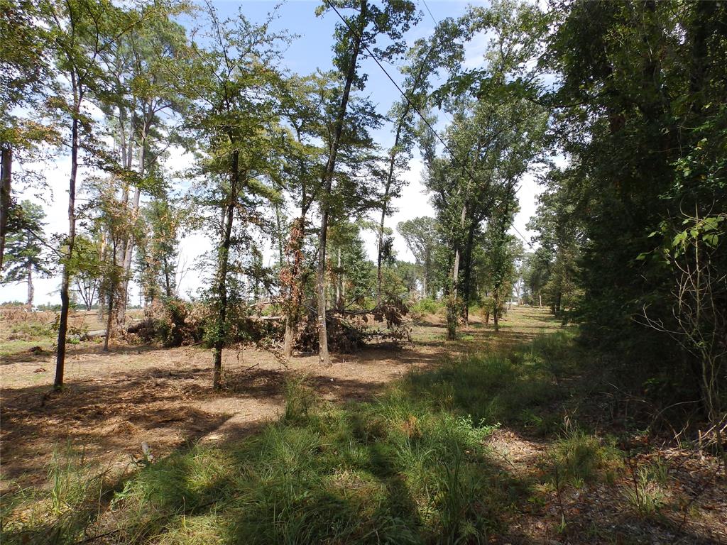 16393 W State Highway 31 Property Photo 10