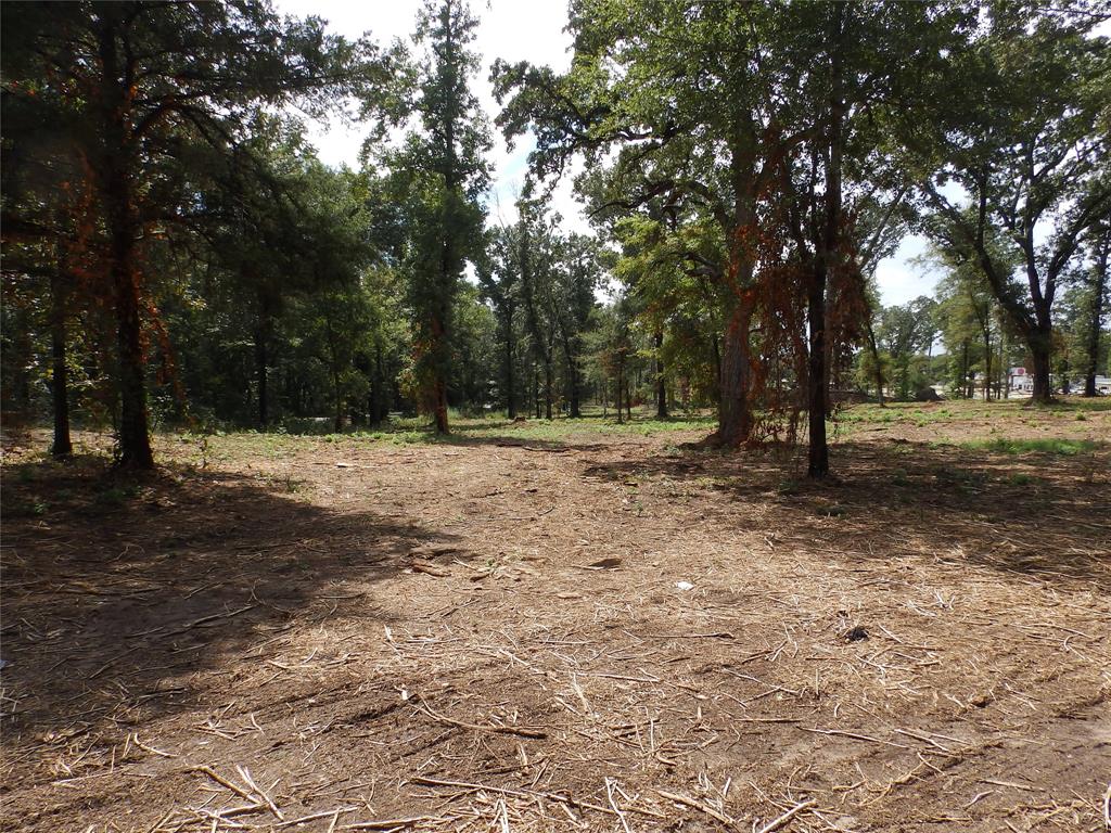 16393 W State Highway 31 Property Photo 11
