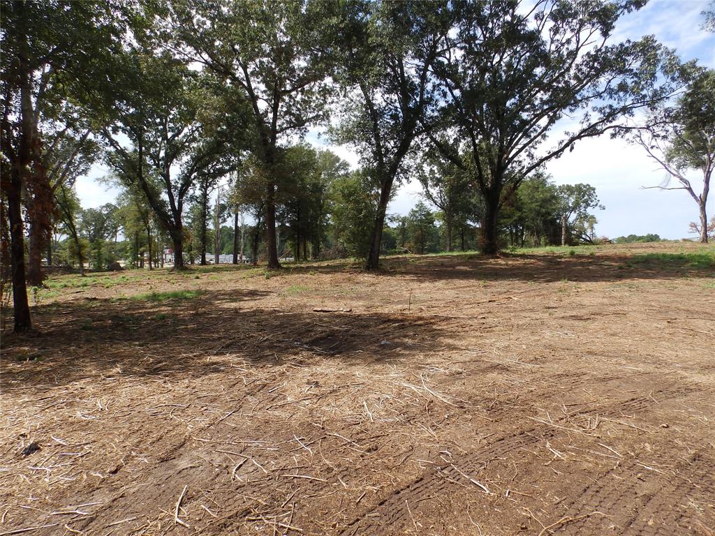16393 W State Highway 31 Property Photo 12