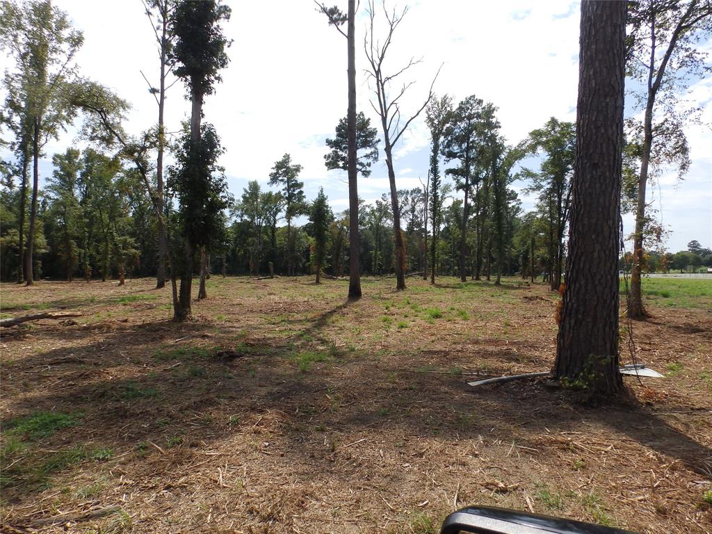 16393 W State Highway 31 Property Photo 13