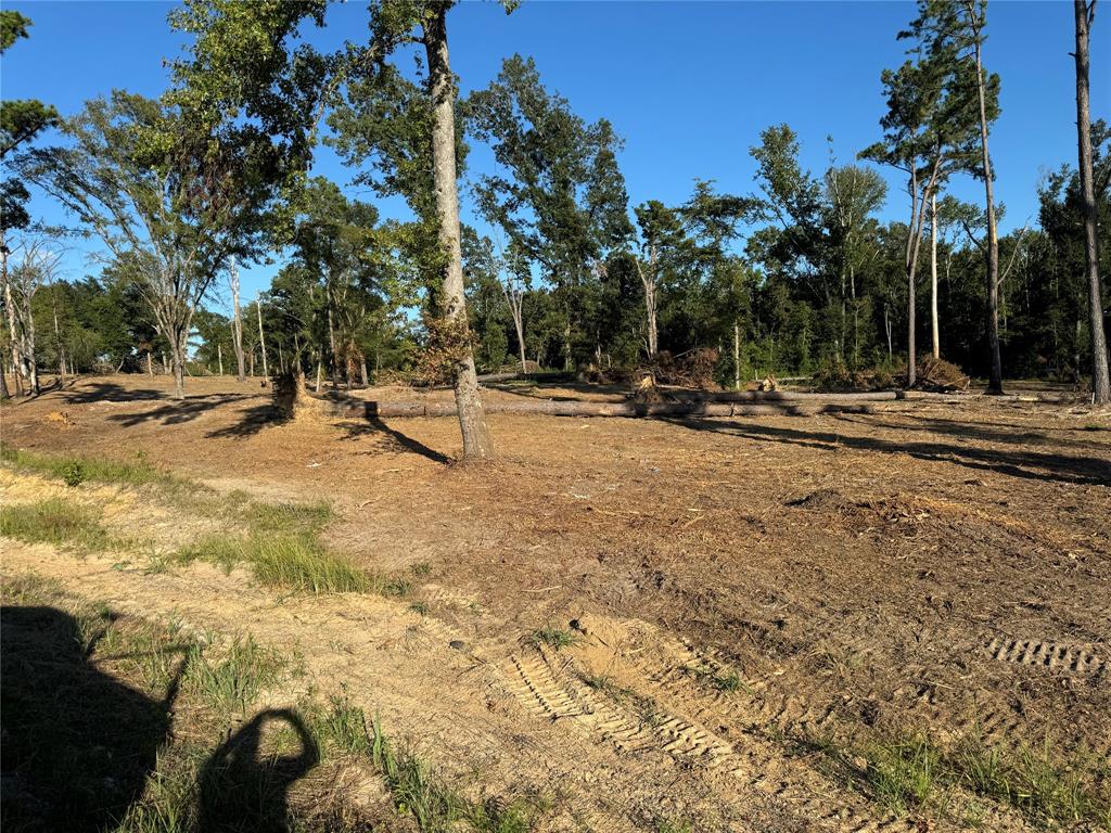 16393 W State Highway 31 Property Photo 15