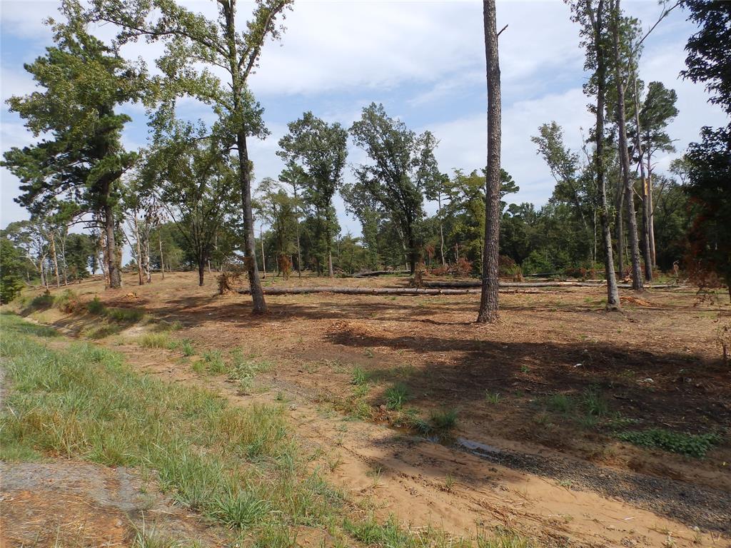16393 W State Highway 31 Property Photo 27