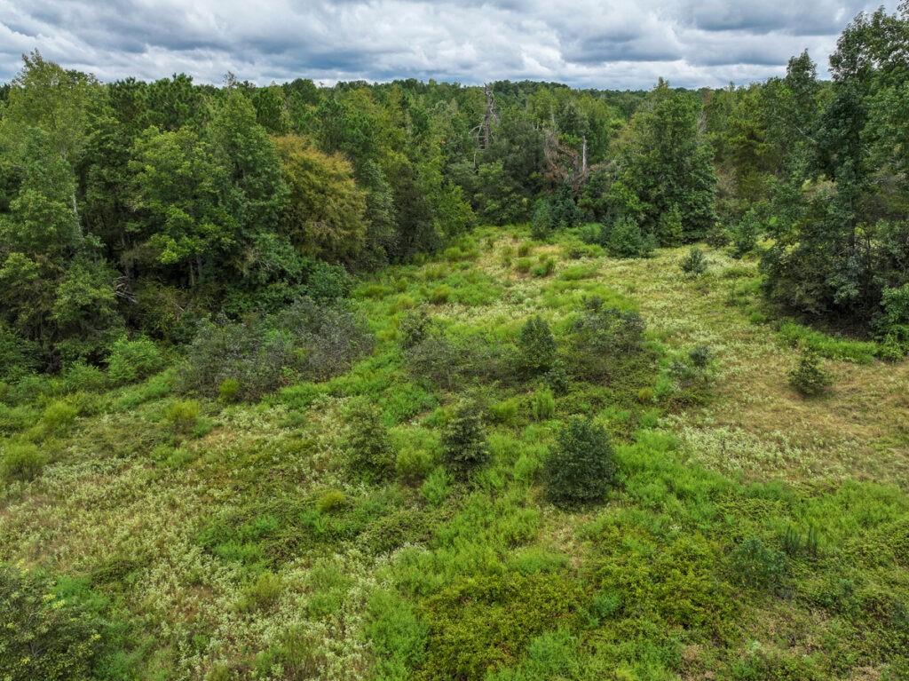1 Jasmine Road Property Photo 5