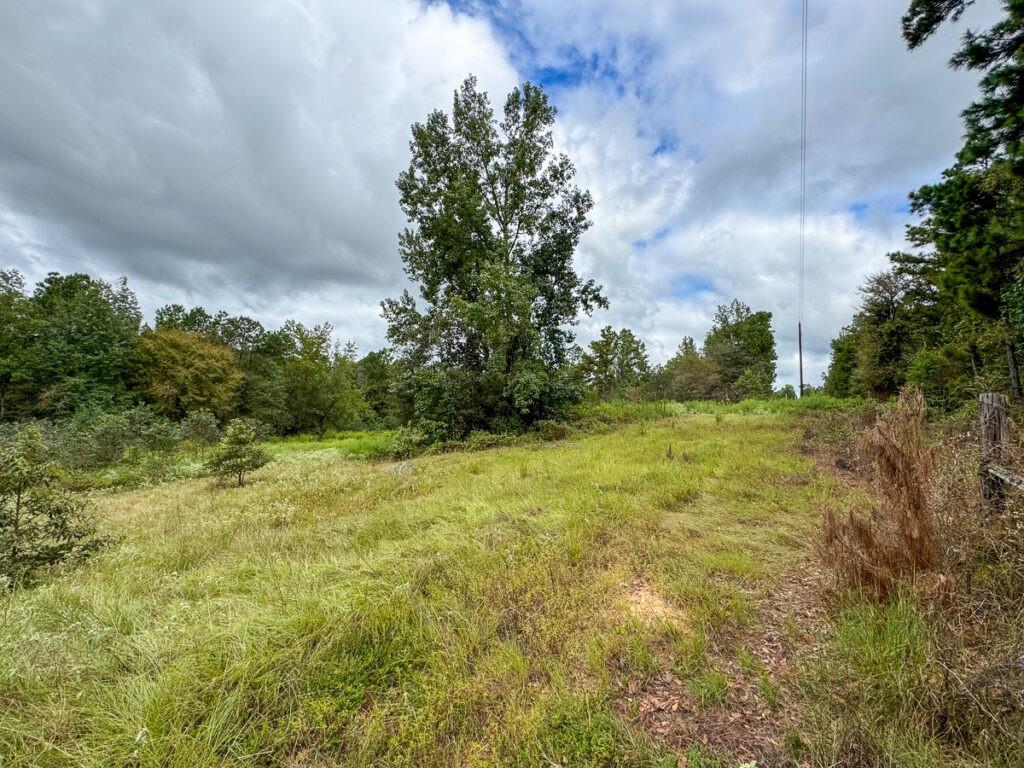 1 Jasmine Road Property Photo 8
