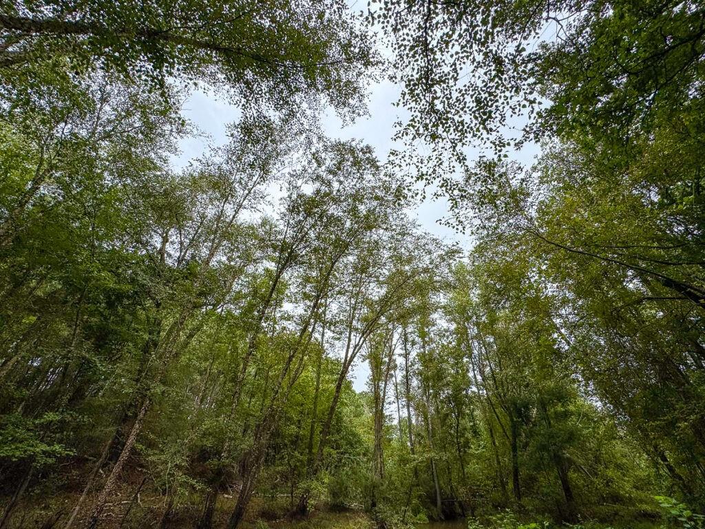 1 Jasmine Road Property Photo 10