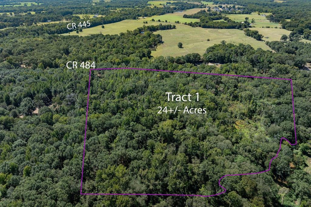 Tract 1 County Road 484 Property Photo 3
