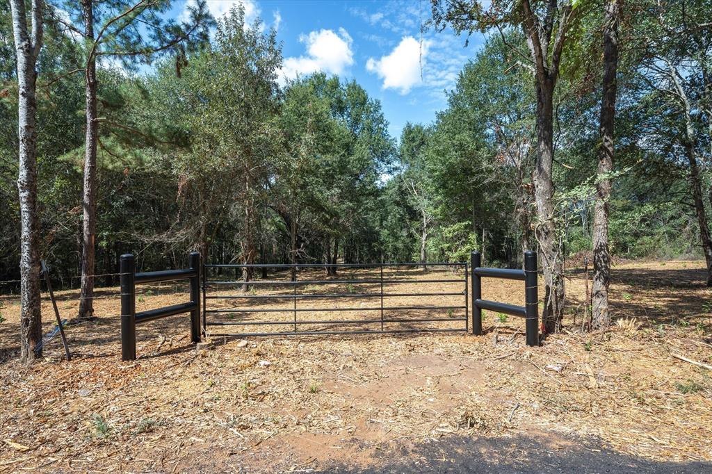 Tract 1 County Road 484 Property Photo 4