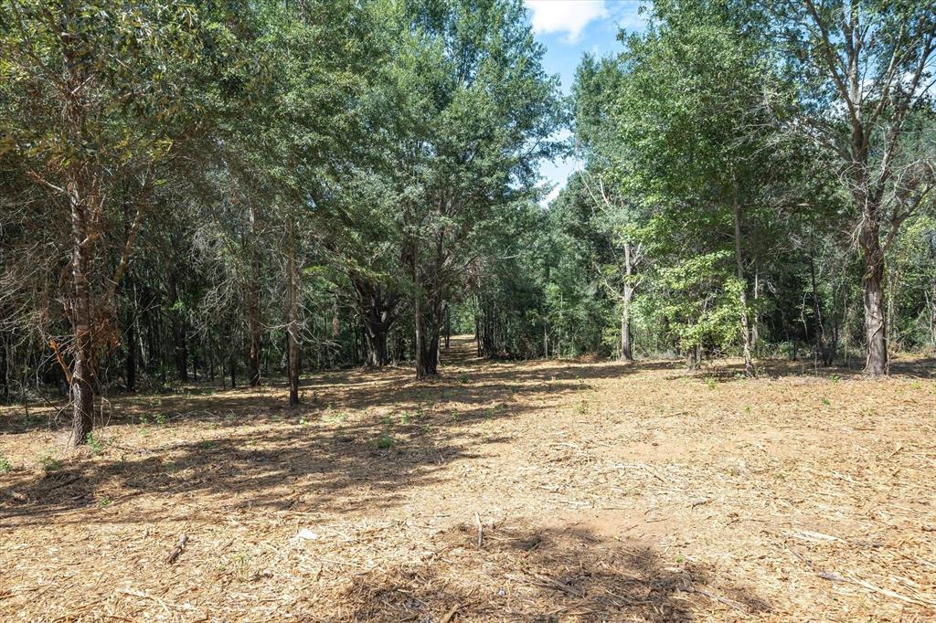 Tract 1 County Road 484 Property Photo 5