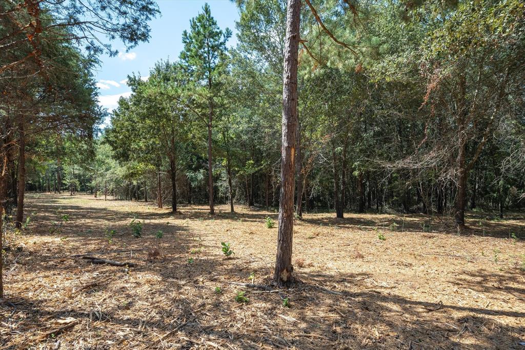 Tract 1 County Road 484 Property Photo 7