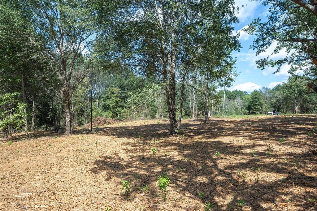 Tract 1 County Road 484 Property Photo 8