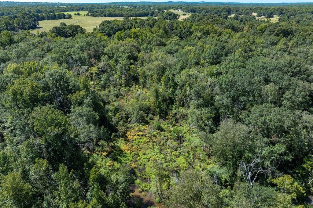 Tract 1 County Road 484 Property Photo 9